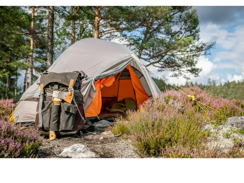 Wechsel Venture 1 trekkerstent - Grey